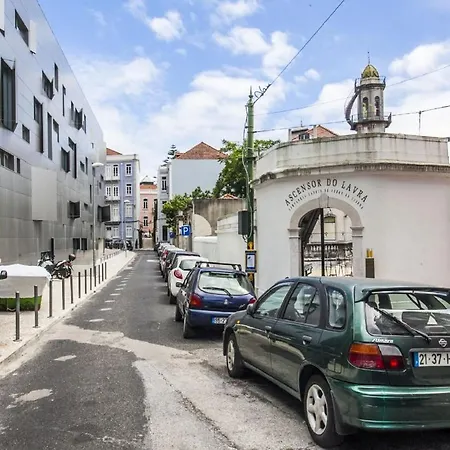 Torel Delight Daire Lisboa